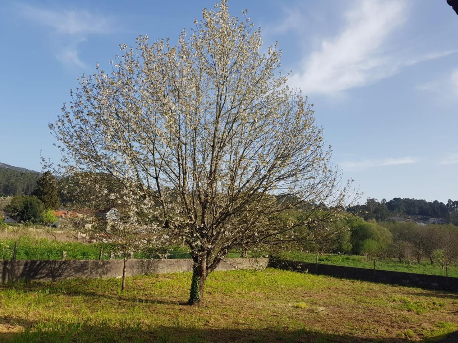 Casa La Porrinesa Villa Porrino Bagian luar foto