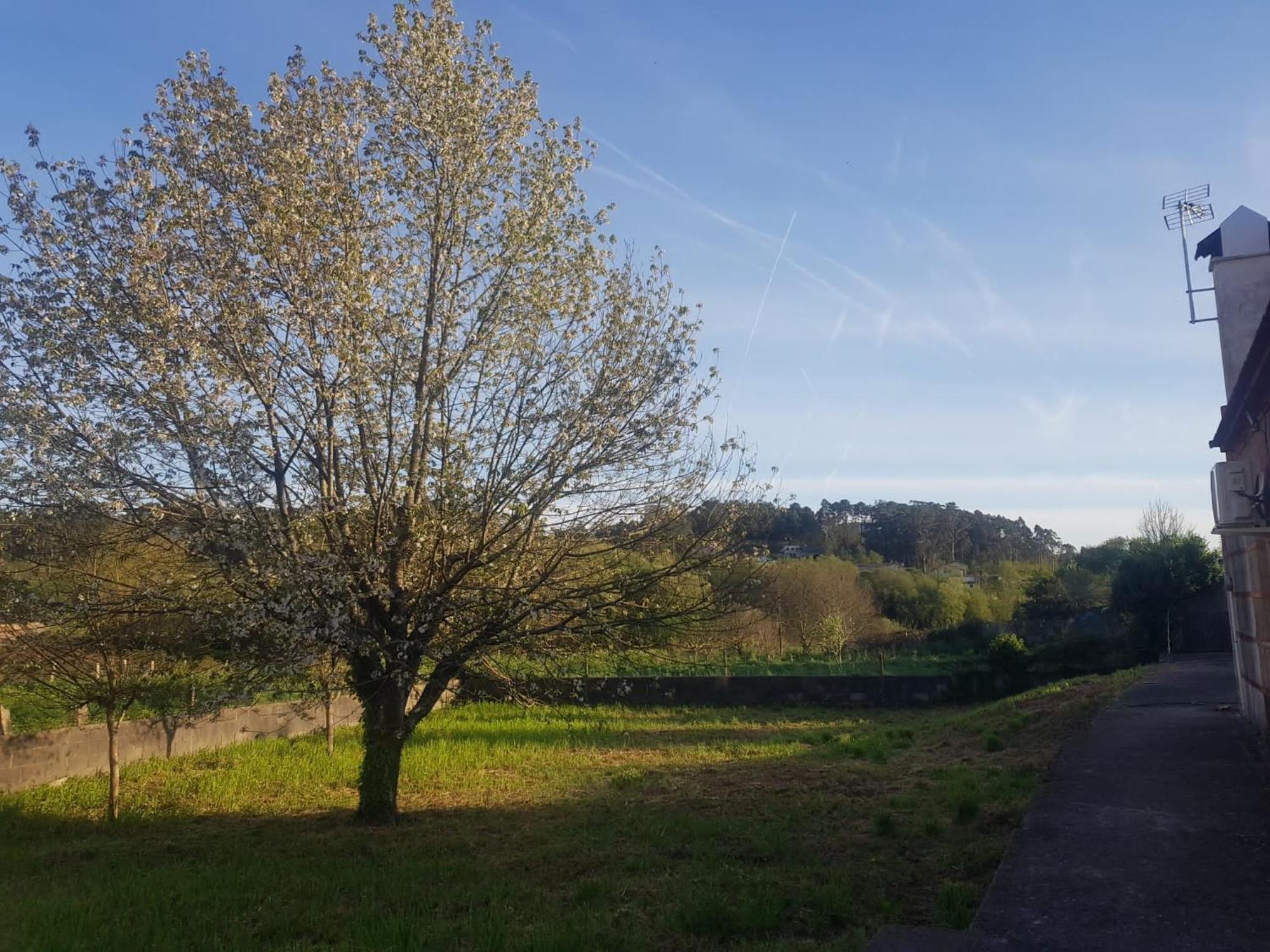 Casa La Porrinesa Villa Porrino Bagian luar foto